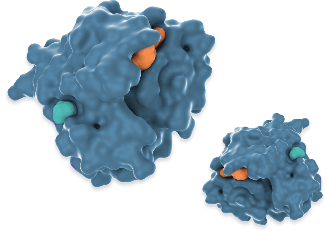 Cell Illustration